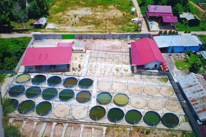 HARGA MENARIK! Tanah Kawasan Batakan, Luas 3101m2m², Lingkungan Nyaman, Bebas Banjir HARGA MENARIK! Tanah Kawasan Batakan, Luas 3101m2m², Lingkungan Nyaman, Bebas Banjir