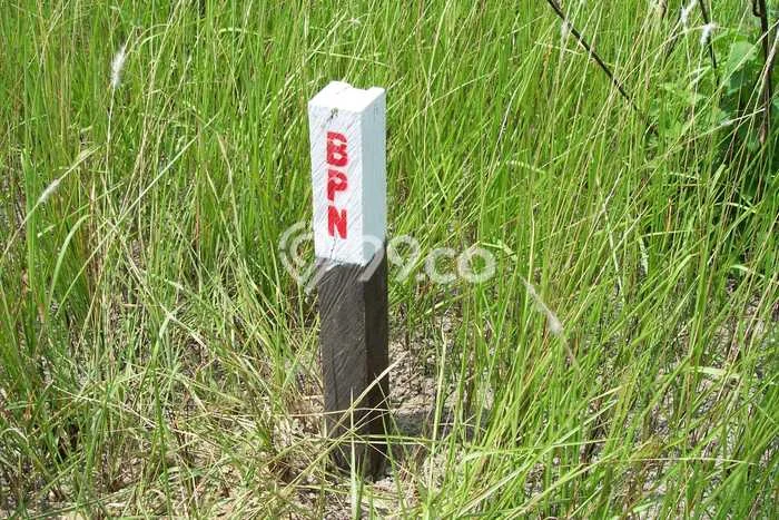 Tanah Siap Bangun Dijual di Kutai Kartanegara Punya Luas 23360m2 Tanah Siap Bangun Dijual di Kutai Kartanegara Punya Luas 23360m2