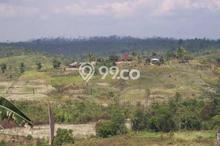 Tanah Siap Bangun Dijual di Kutai Kartanegara Punya Luas 23360m2 Tanah Siap Bangun Dijual di Kutai Kartanegara Punya Luas 23360m2
