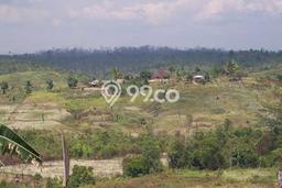 Dijual Tanah Lokasi Samboja, Kutai Kartanegara Seluas 23360m2 Dijual Tanah Lokasi Samboja, Kutai Kartanegara Seluas 23360m2