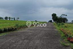 Tanah Dijual Lokasi Cisarua Bogor - Tanah Dijual Lokasi Cisarua Bogor -
