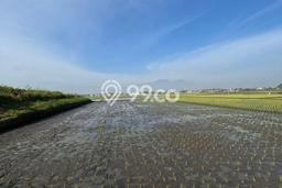 Tanah Kavling untuk Dijual di Solokan Jeruk Bandung 1409m2 Tanah Kavling untuk Dijual di Solokan Jeruk Bandung 1409m2