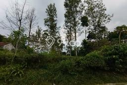 Tanah Kavling di Pasirjambu Dijual dengan Luas 6485m2 Tanah Kavling di Pasirjambu Dijual dengan Luas 6485m2