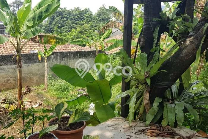 Lokasi Strategis! Dijual Pabrik Bisnis di Pasar Minggu, Jakarta Selatan Kondisi Baik Lokasi Strategis! Dijual Pabrik Bisnis di Pasar Minggu, Jakarta Selatan Kondisi Baik