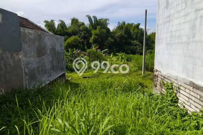 Rumah Minimalis Dijual di Sukun 2 Kamar dengan Luas Tanah 66m2 Rumah Minimalis Dijual di Sukun 2 Kamar dengan Luas Tanah 66m2