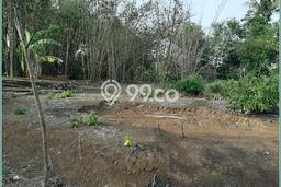Tanah untuk Dijual di Moyudan Sleman Luas 106m2 Tanah untuk Dijual di Moyudan Sleman Luas 106m2