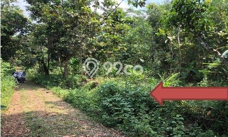 Lahan Kosong Dijual di Cipicung, Kuningan, Luas 2844m2 Area Strategis Lahan Kosong Dijual di Cipicung, Kuningan, Luas 2844m2 Area Strategis
