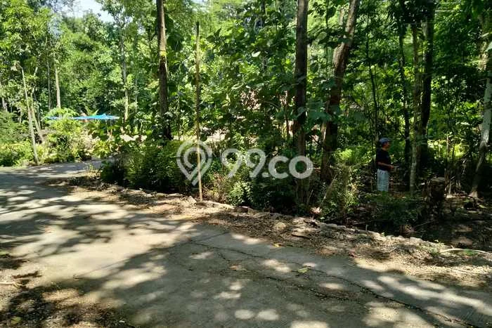 Tanah Dijual Lokasi Lendah, Kulon Progo Luas 1290m2 Legalitas Aman Tanah Dijual Lokasi Lendah, Kulon Progo Luas 1290m2 Legalitas Aman