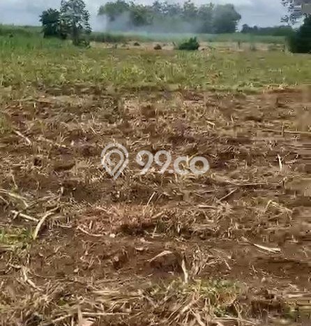 Lahan Kosong Dijual di Blimbing, Malang, Luas 2125m2 Area Strategis Lahan Kosong Dijual di Blimbing, Malang, Luas 2125m2 Area Strategis