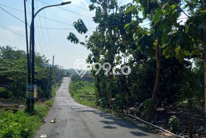 Tanah untuk Dijual di Ngaliyan Semarang Luas 1587m2 Tanah untuk Dijual di Ngaliyan Semarang Luas 1587m2