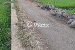 Tanah Dijual Lokasi Karangtengah, Cianjur Luas 16000m2 Legalitas Aman Tanah Dijual Lokasi Karangtengah, Cianjur Luas 16000m2 Legalitas Aman