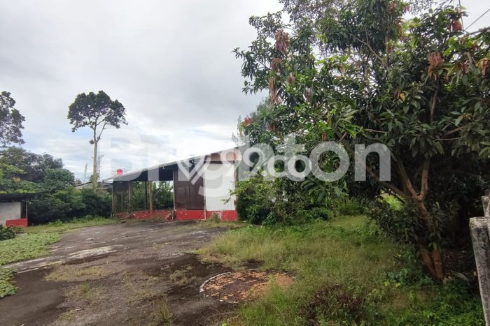 Kavling Tanah di Setu Dijual Luas 2000m2 Legalitas SHM Kavling Tanah di Setu Dijual Luas 2000m2 Legalitas SHM