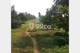 Tanah Siap Bangun Dijual di Sukabumi Punya Luas 1.3e+06m2 Tanah Siap Bangun Dijual di Sukabumi Punya Luas 1.3e+06m2