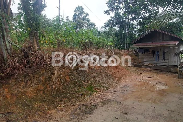 Kavling Tanah Dijual di Balikpapan Utara, Balikpapan, Luas 7680m2 Area Strategis Kavling Tanah Dijual di Balikpapan Utara, Balikpapan, Luas 7680m2 Area Strategis