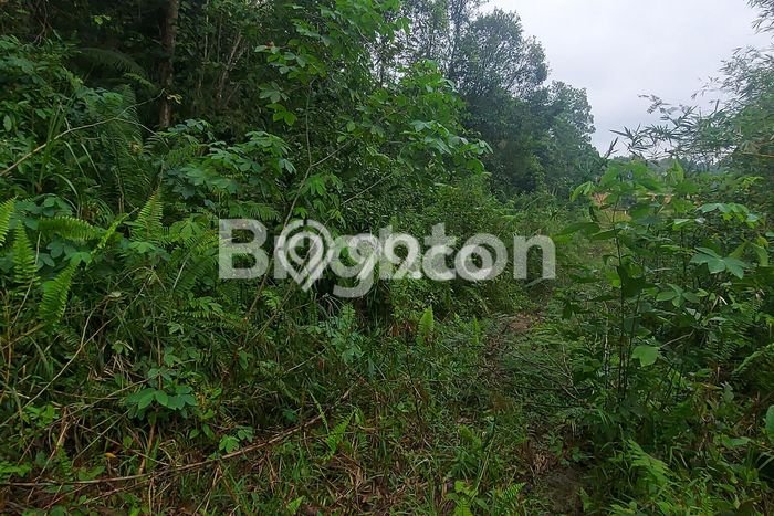 Kavling Tanah Dijual di Balikpapan Utara, Balikpapan, Luas 7680m2 Area Strategis Kavling Tanah Dijual di Balikpapan Utara, Balikpapan, Luas 7680m2 Area Strategis