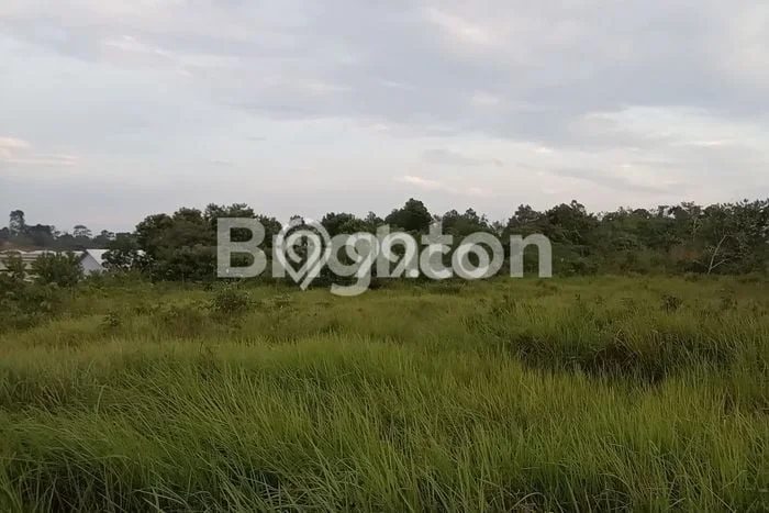 Kavling Tanah untuk Dijual di Kariangau, Balikpapan, Luas 35000m2 Kavling Tanah untuk Dijual di Kariangau, Balikpapan, Luas 35000m2