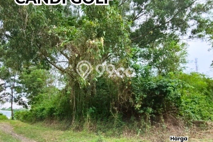 Tanah Kavling Dijual di Candi Golf, Semarang dengan Luas Tanah 3652m2 Tanah Kavling Dijual di Candi Golf, Semarang dengan Luas Tanah 3652m2