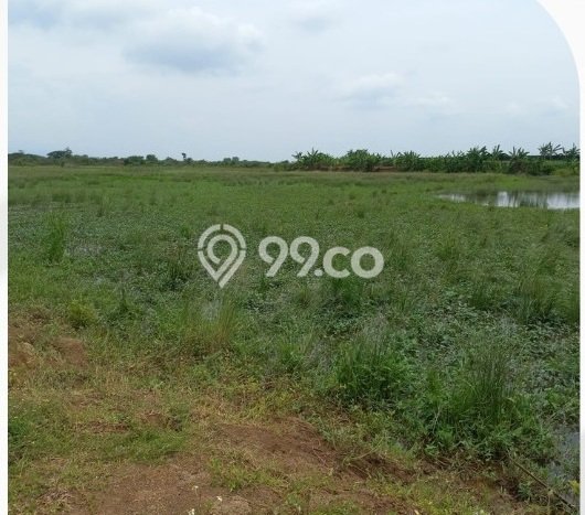 Tanah Kavling untuk Dijual di Kaliwungu Semarang 9505m2 Tanah Kavling untuk Dijual di Kaliwungu Semarang 9505m2