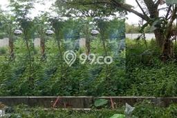 Tanah Dijual Lokasi Purwodadi, Purwodadi Luas 2175m2 Legalitas Aman Tanah Dijual Lokasi Purwodadi, Purwodadi Luas 2175m2 Legalitas Aman