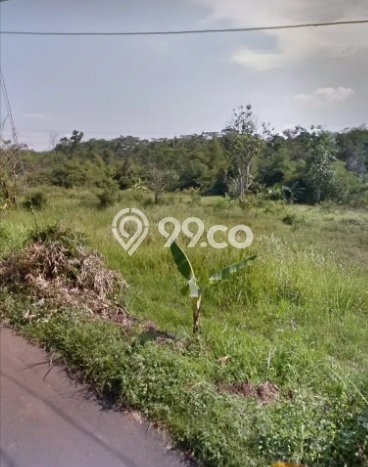 Tanah Dijual Lokasi Mijen, Semarang Luas 12000m2 Legalitas Aman Tanah Dijual Lokasi Mijen, Semarang Luas 12000m2 Legalitas Aman