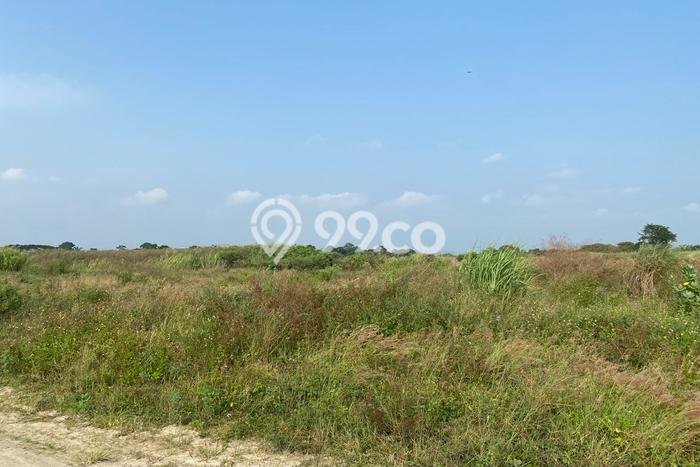 Tanah Dijual Lokasi Semarang Barat, Semarang Luas 110000m2 Legalitas Aman Tanah Dijual Lokasi Semarang Barat, Semarang Luas 110000m2 Legalitas Aman