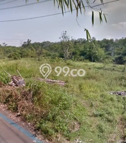 Tanah Dijual Lokasi Mijen, Semarang Luas 12000m2 Legalitas Aman Tanah Dijual Lokasi Mijen, Semarang Luas 12000m2 Legalitas Aman