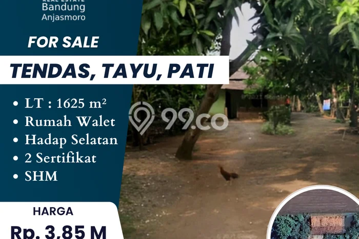 Kavling Tanah di Tayu Dijual Luas 1625m2 Legalitas SHM Kavling Tanah di Tayu Dijual Luas 1625m2 Legalitas SHM