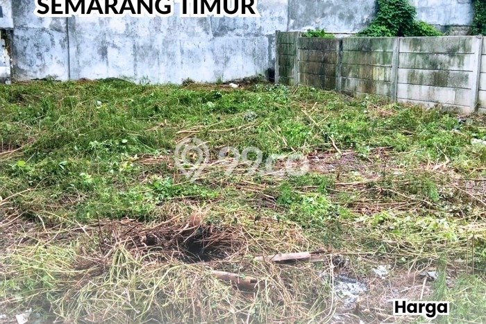Lahan untuk Disewakan di Semarang Timur Semarang SHM Lahan untuk Disewakan di Semarang Timur Semarang SHM