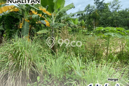 Lahan Investasi Lokasi Ngaliyan Semarang SHM Lahan Investasi Lokasi Ngaliyan Semarang SHM
