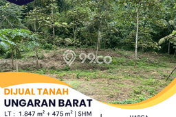 Kavling Tanah Dijual di Ungaran Barat Semarang Spesifikasi 1847m2 Kavling Tanah Dijual di Ungaran Barat Semarang Spesifikasi 1847m2