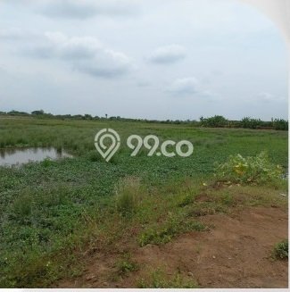 Tanah Kavling untuk Dijual di Kaliwungu Semarang 9505m2 Tanah Kavling untuk Dijual di Kaliwungu Semarang 9505m2