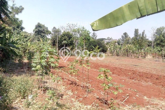 Tanah Dijual Area Strategis di Bintaro Tangerang Selatan 4300m2 Tanah Dijual Area Strategis di Bintaro Tangerang Selatan 4300m2