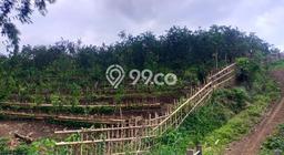 Tanah Dijual Lokasi Dau, Malang Luas 8000m2 Legalitas Aman Tanah Dijual Lokasi Dau, Malang Luas 8000m2 Legalitas Aman