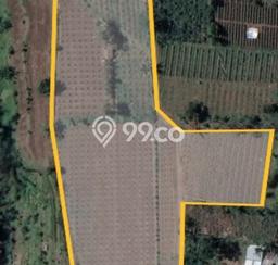 Tanah Dijual Lokasi Dau, Malang dengan Luas Tanah 10000m2 dan Status SHM Tanah Dijual Lokasi Dau, Malang dengan Luas Tanah 10000m2 dan Status SHM