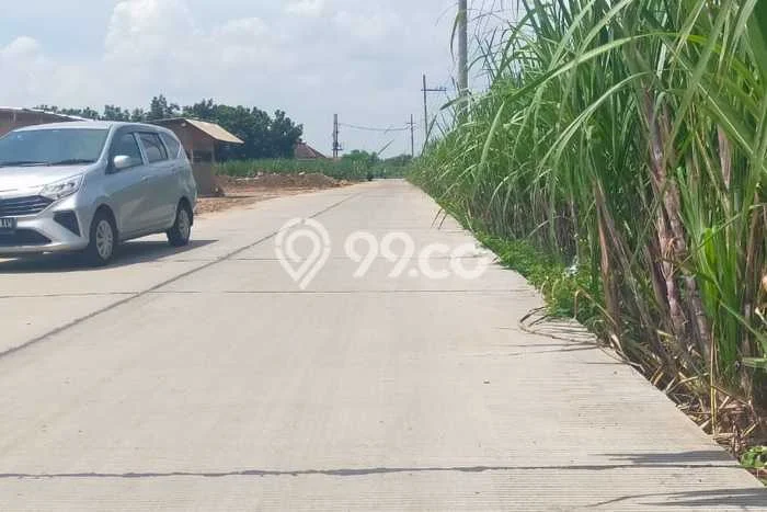 Tanah di Puri, Mojokerto Luas 25826m2 Dijual Segera Tanah di Puri, Mojokerto Luas 25826m2 Dijual Segera