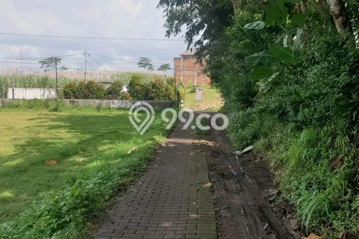 Tanah Dijual Lokasi Pakisaji, Malang Luas 600m2 Legalitas Aman Tanah Dijual Lokasi Pakisaji, Malang Luas 600m2 Legalitas Aman