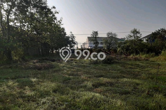 Lahan Dijual Lokasi Dander, Bojonegoro dengan Luas Tanah 3983m2 dan Status SHM Lahan Dijual Lokasi Dander, Bojonegoro dengan Luas Tanah 3983m2 dan Status SHM