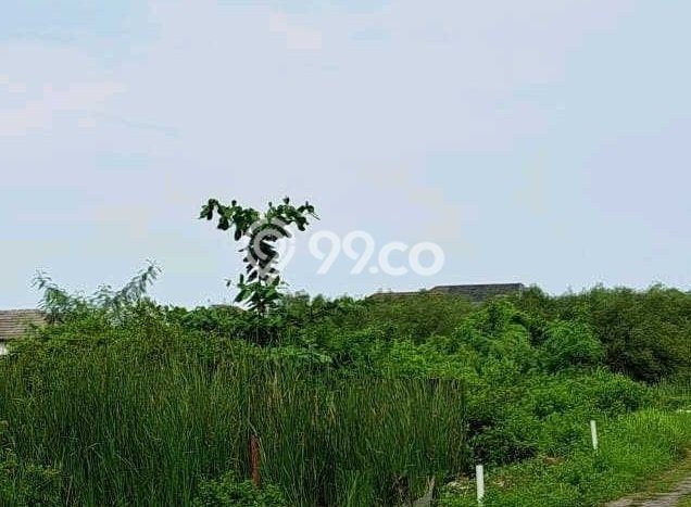 Tanah Kavling Dijual di Medokan Ayu, Surabaya dengan Luas Tanah 240m2 Tanah Kavling Dijual di Medokan Ayu, Surabaya dengan Luas Tanah 240m2