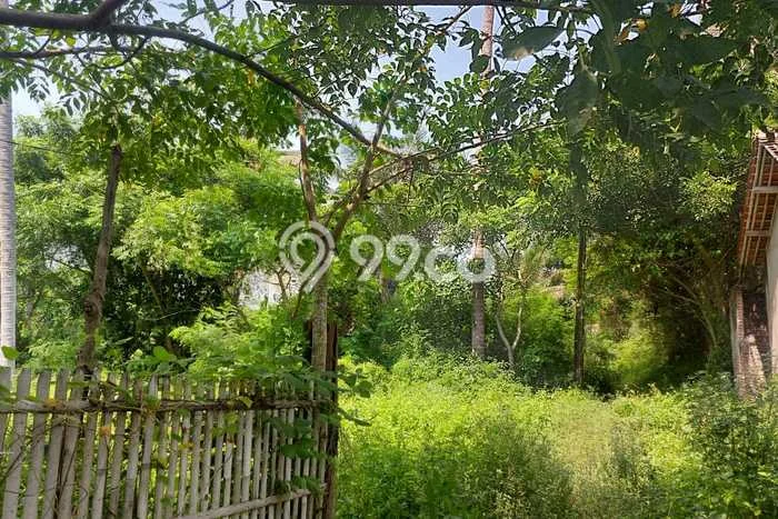 Tanah Dijual Lokasi Mauk Tangerang SHM Tanah Dijual Lokasi Mauk Tangerang SHM