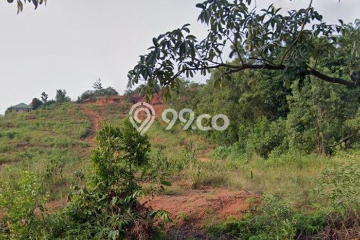 Jual Tanah Area Prospektif di Batu Besar, Luas 49514m², Akses Batu Besar, Batam, Batam Jual Tanah Area Prospektif di Batu Besar, Luas 49514m², Akses Batu Besar, Batam, Batam