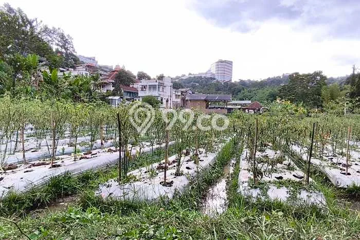 Dijual Tanah 8000m2 di Cigadung, Bandung Dijual Tanah 8000m2 di Cigadung, Bandung