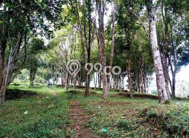 Tanah Kavling Dijual di Lembang, Bandung dengan Luas Tanah 10550m2 Tanah Kavling Dijual di Lembang, Bandung dengan Luas Tanah 10550m2