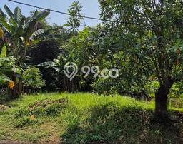 Kavling Tanah Dijual di Rumpin Bogor Spesifikasi 168m2 Kavling Tanah Dijual di Rumpin Bogor Spesifikasi 168m2