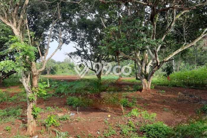 Lahan untuk Dijual Lokasi Setu, Bekasi Luas 3568m2 SHM Lahan untuk Dijual Lokasi Setu, Bekasi Luas 3568m2 SHM