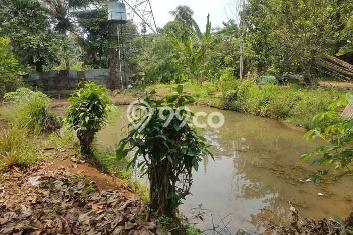 Tanah Kavling untuk Dijual di Setu Tangerang Selatan 2120m2 Tanah Kavling untuk Dijual di Setu Tangerang Selatan 2120m2