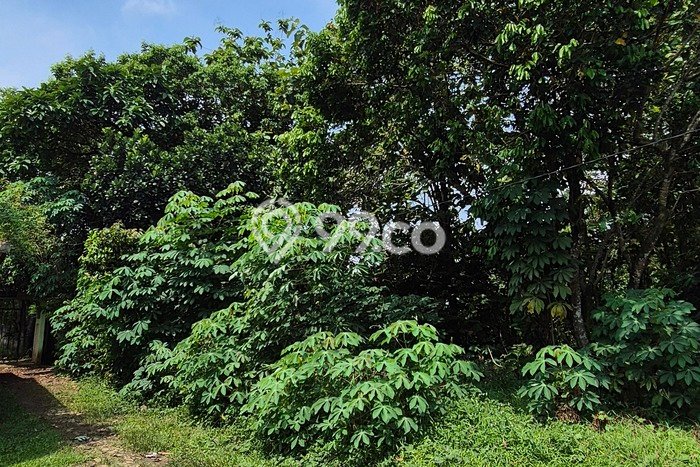 Kavling Tanah Dijual di Cisauk Tangerang Spesifikasi 8000m2 Kavling Tanah Dijual di Cisauk Tangerang Spesifikasi 8000m2