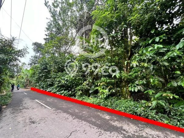 Tanah di Payangan, Gianyar Luas 44750m2 Dijual Segera Tanah di Payangan, Gianyar Luas 44750m2 Dijual Segera