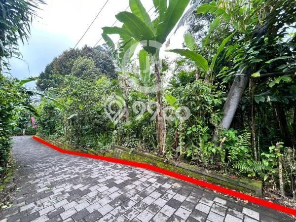 Tanah di Payangan, Gianyar Luas 44750m2 Dijual Segera Tanah di Payangan, Gianyar Luas 44750m2 Dijual Segera