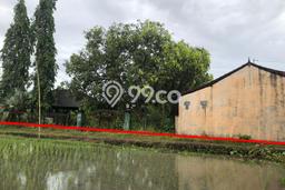 Tanah Kawasan Dalung, Luas 980m2m², Dekat Jalan Raya Tanah Kawasan Dalung, Luas 980m2m², Dekat Jalan Raya