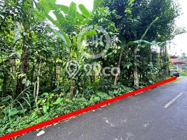 Tanah di Payangan, Gianyar Luas 44750m2 Dijual Segera Tanah di Payangan, Gianyar Luas 44750m2 Dijual Segera